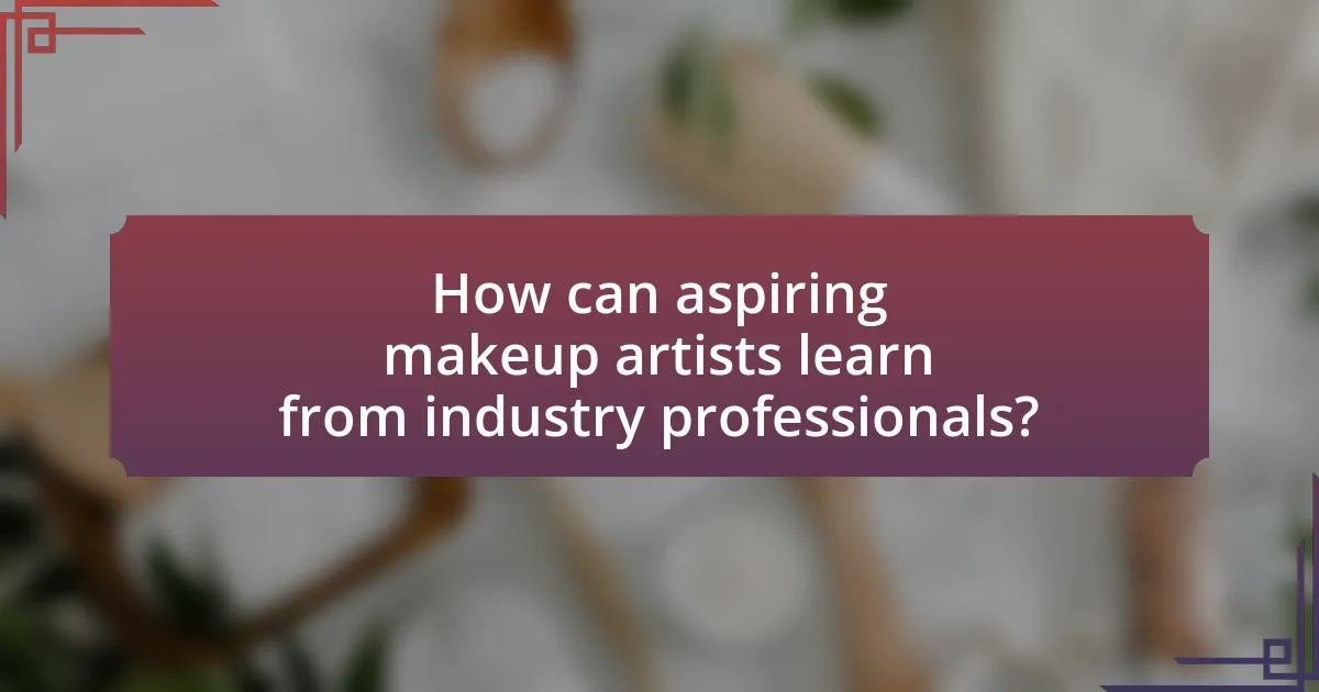 How can aspiring makeup artists learn from industry professionals?