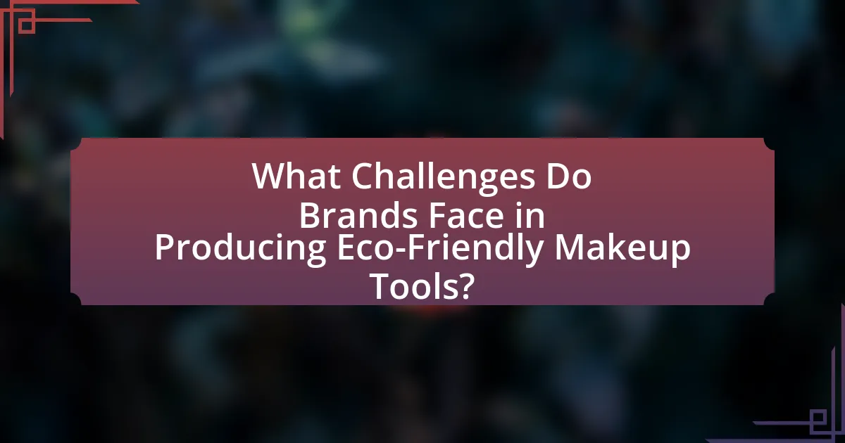 What Challenges Do Brands Face in Producing Eco-Friendly Makeup Tools?
