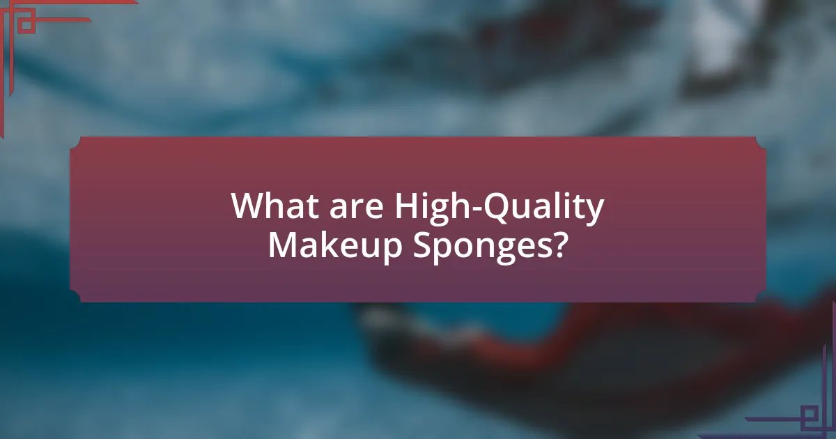 What are High-Quality Makeup Sponges?