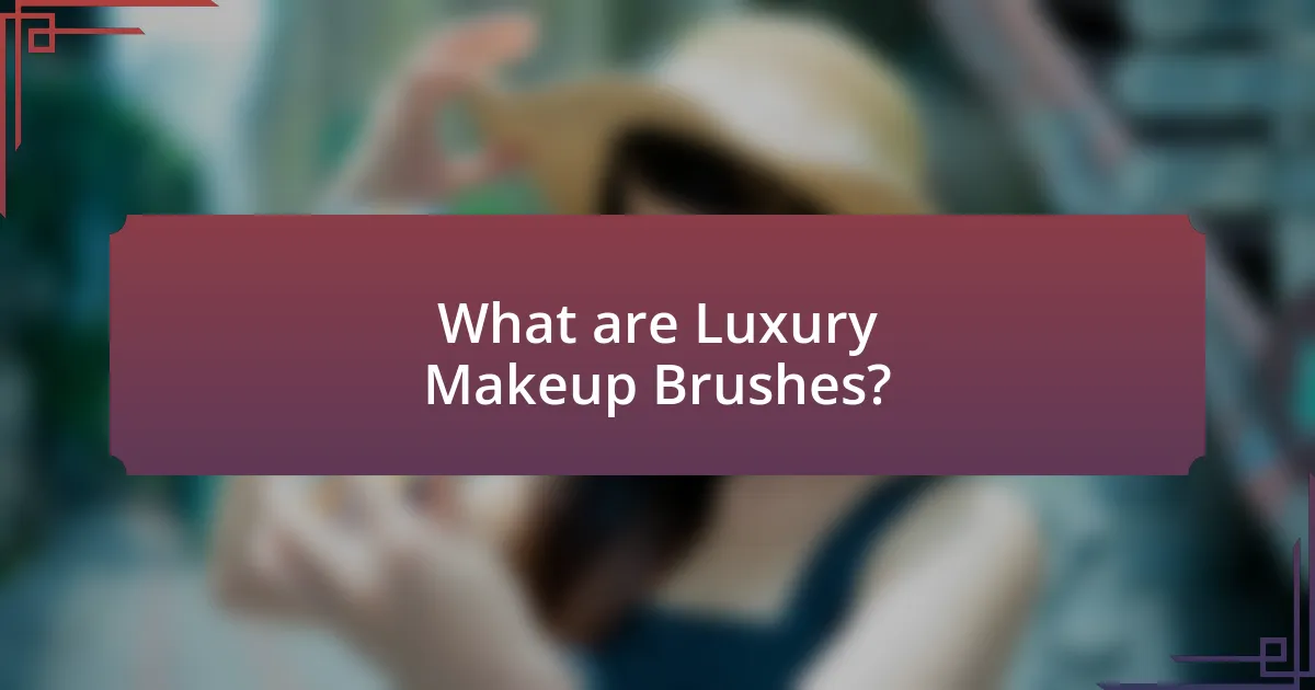 What are Luxury Makeup Brushes?
