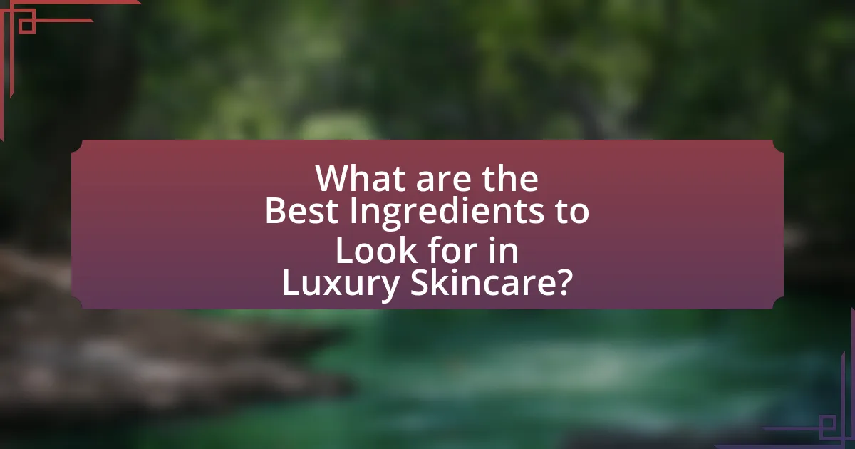 What are the Best Ingredients to Look for in Luxury Skincare?