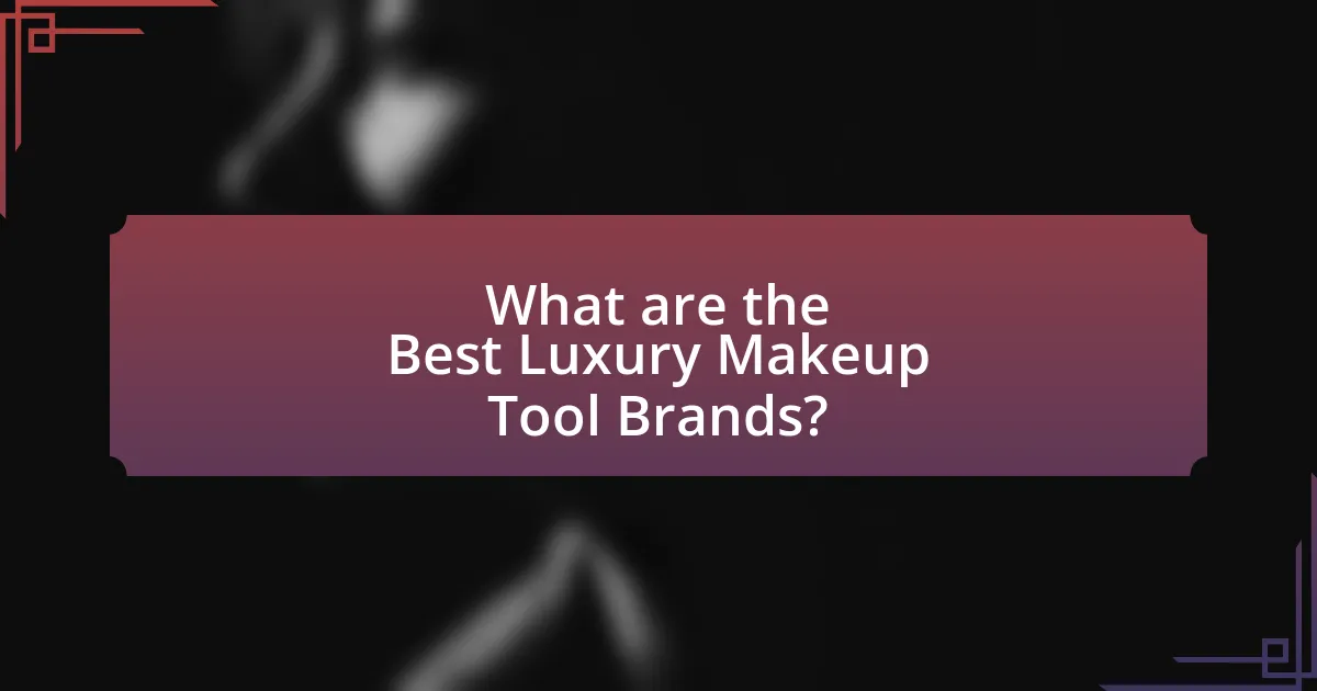 What are the Best Luxury Makeup Tool Brands?