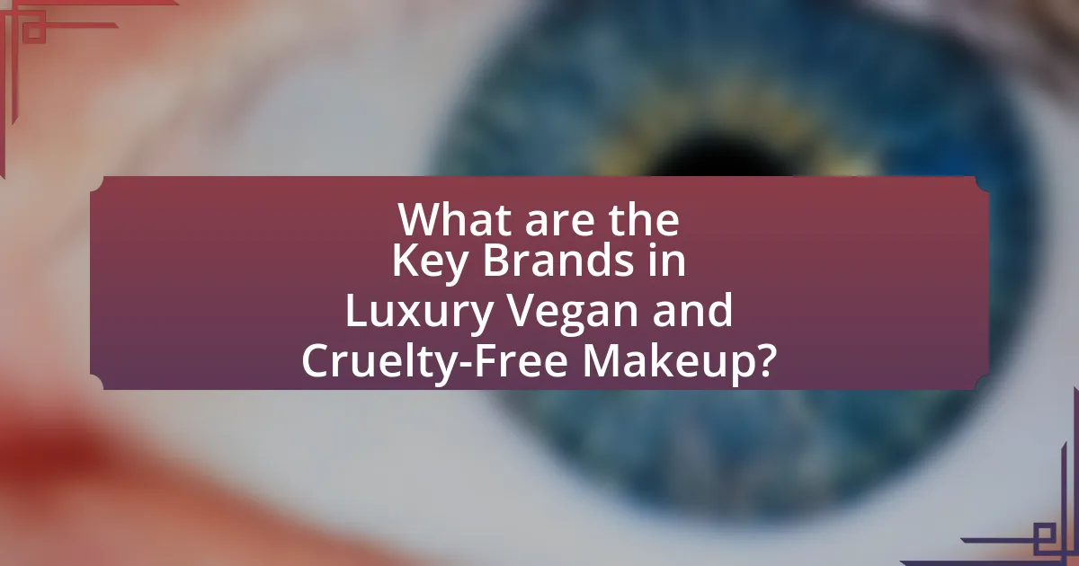 What are the Key Brands in Luxury Vegan and Cruelty-Free Makeup?