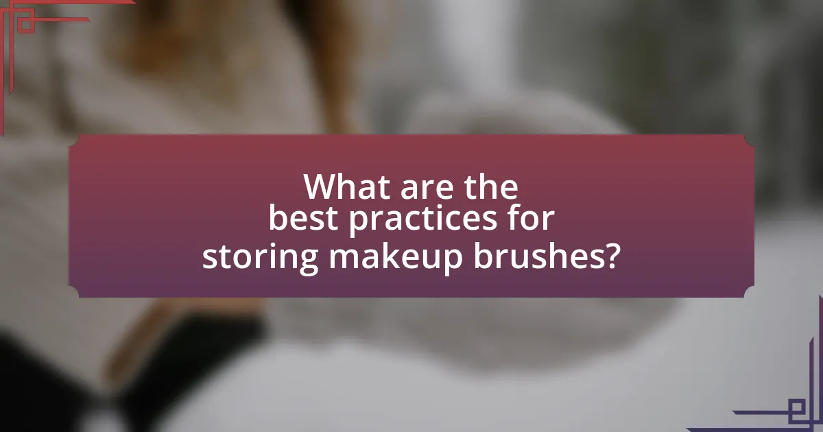 What are the best practices for storing makeup brushes?