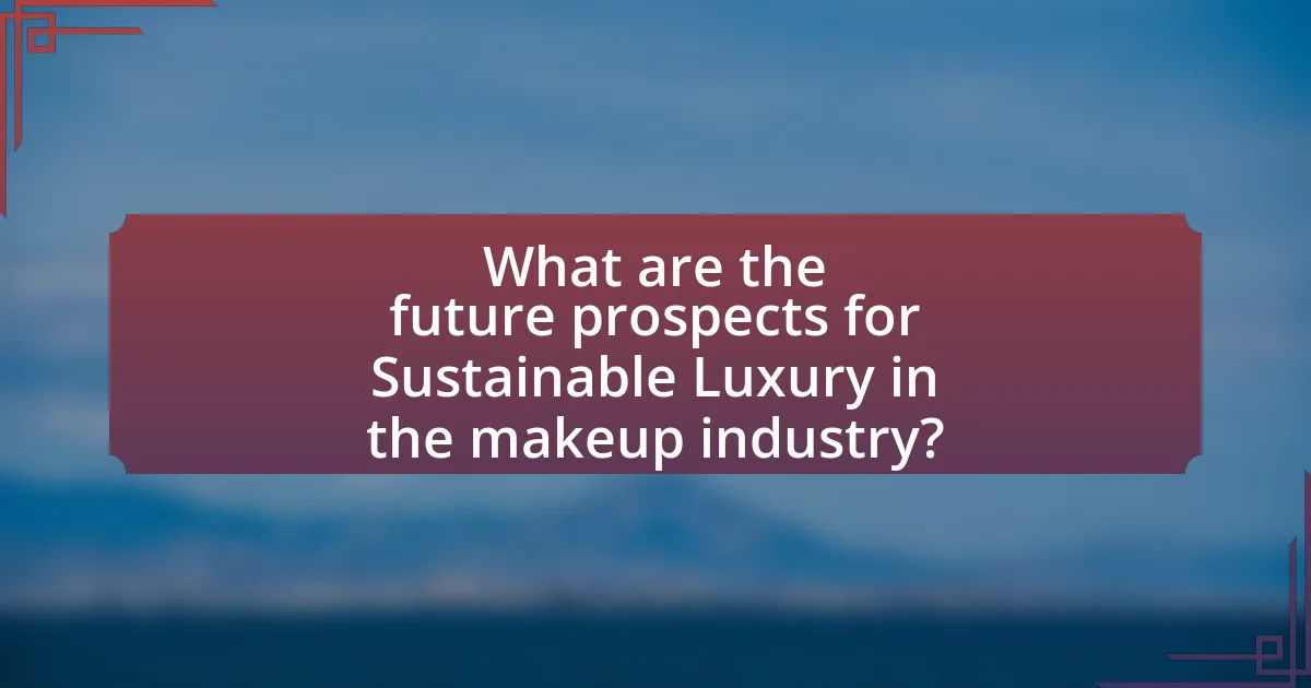 What are the future prospects for Sustainable Luxury in the makeup industry?