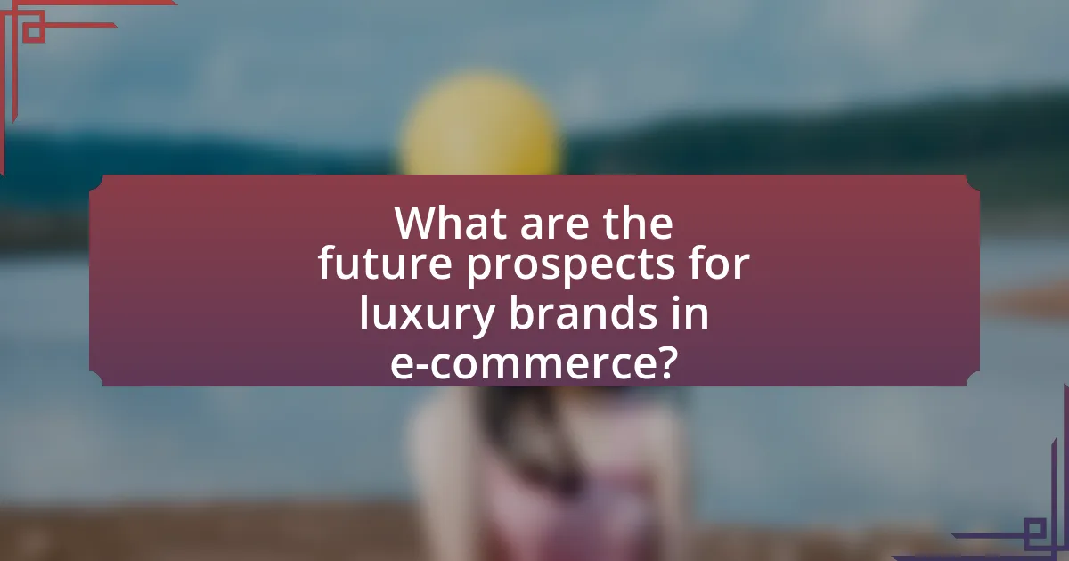 What are the future prospects for luxury brands in e-commerce?