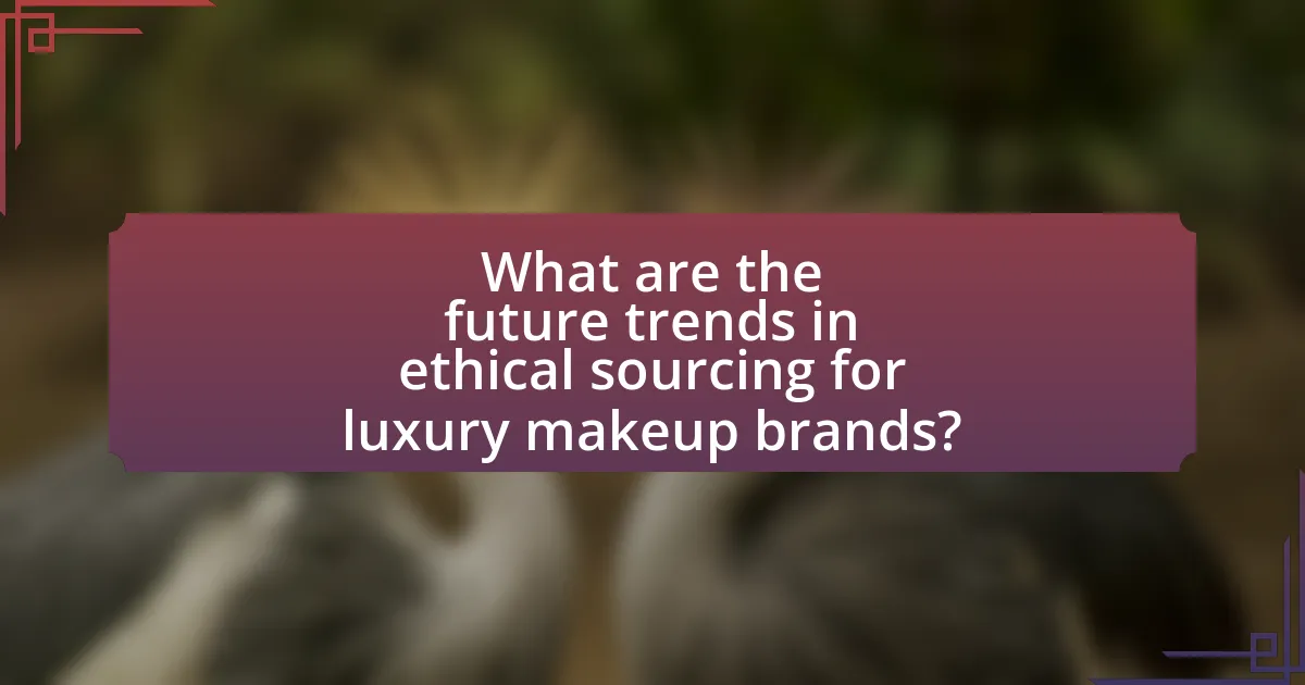 What are the future trends in ethical sourcing for luxury makeup brands?