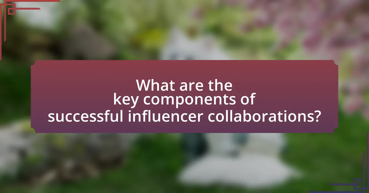 What are the key components of successful influencer collaborations?