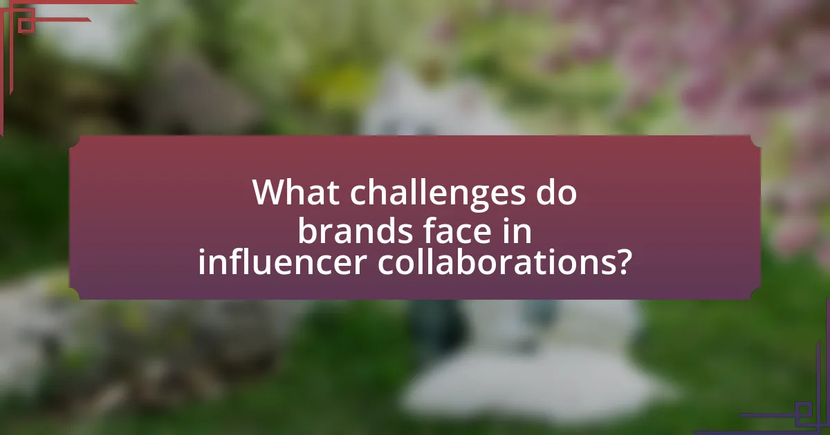 What challenges do brands face in influencer collaborations?