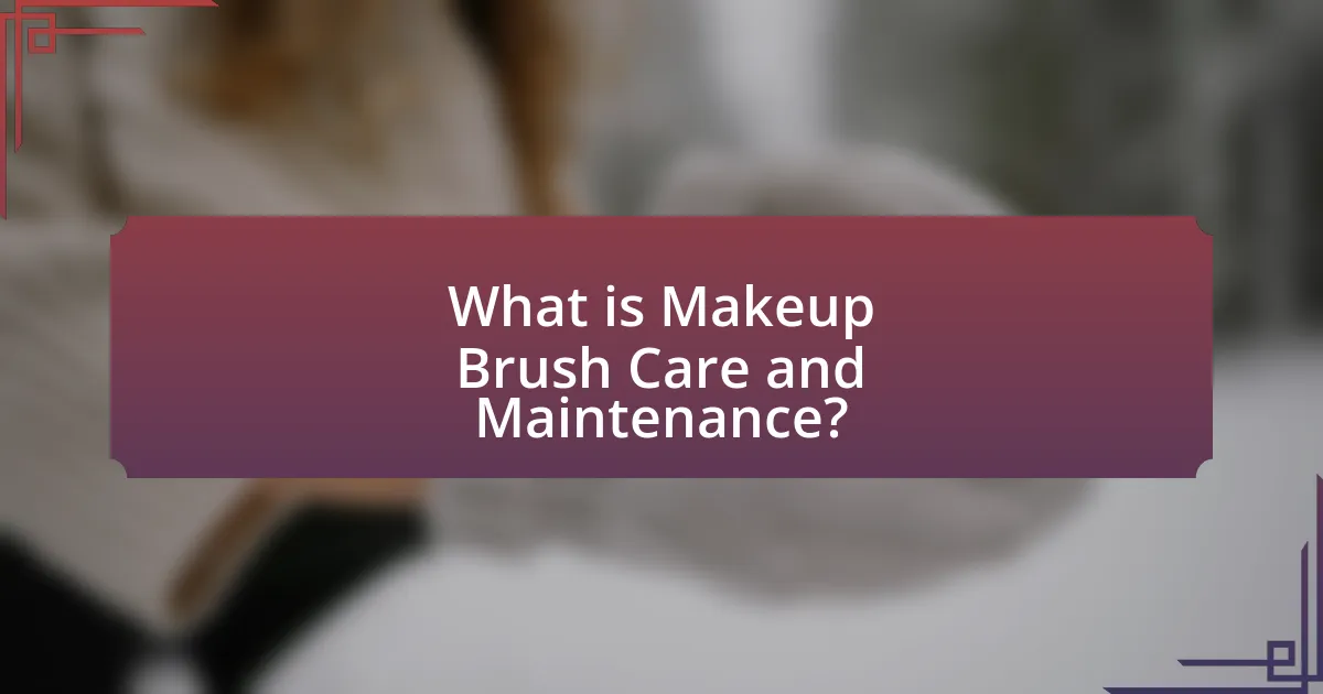 What is Makeup Brush Care and Maintenance?