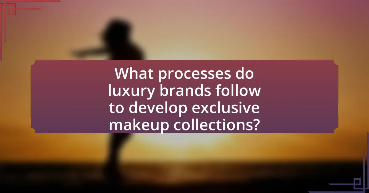 What processes do luxury brands follow to develop exclusive makeup collections?