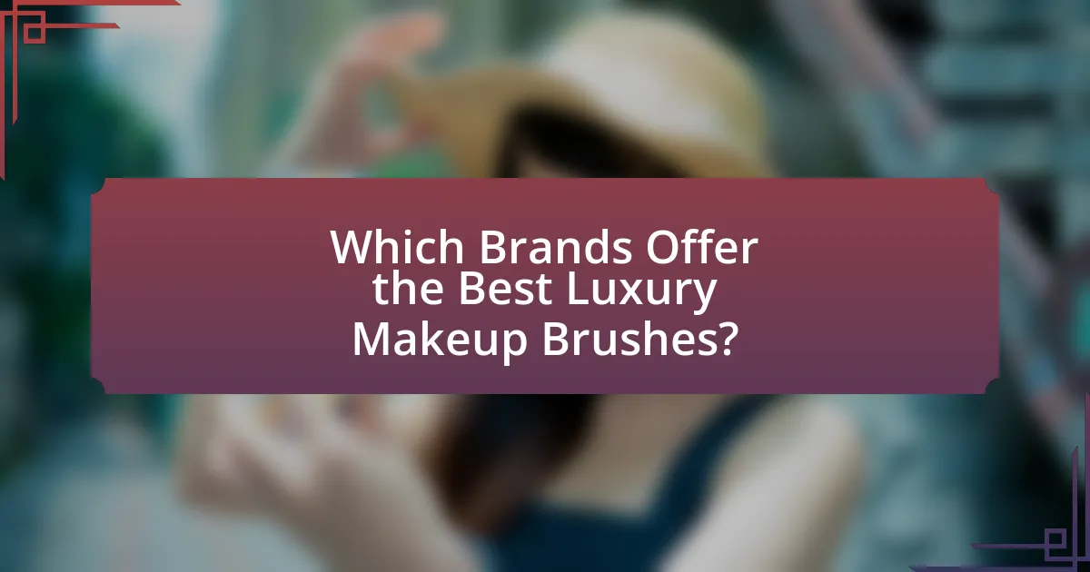 Which Brands Offer the Best Luxury Makeup Brushes?